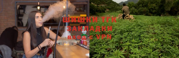 круглые Вяземский