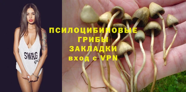 круглые Вяземский