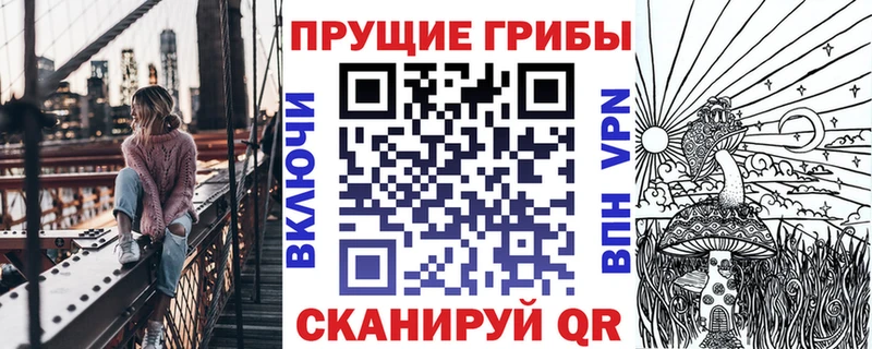 Псилоцибиновые грибы Cubensis блэк спрут как зайти Энгельс