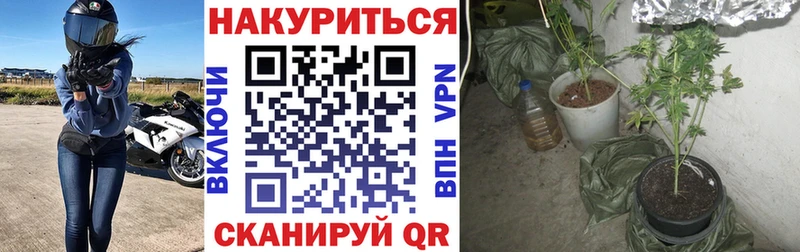 Бошки Шишки марихуана Энгельс